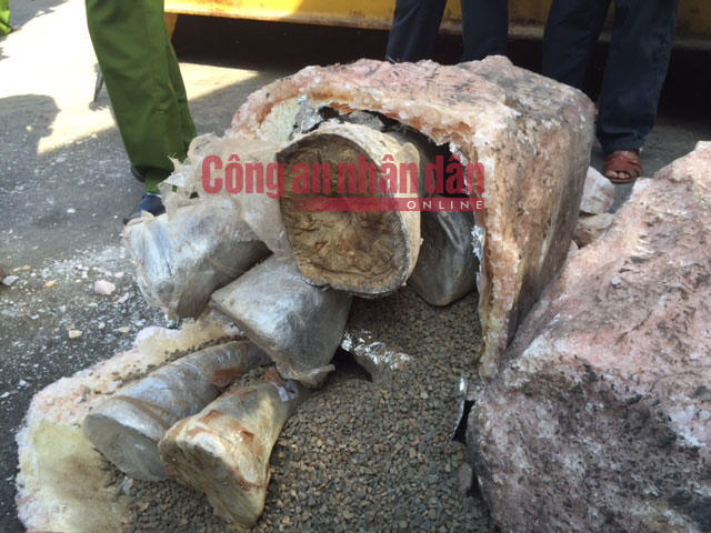 Tin chấn động: Phát hiện 1 tấn sừng tê giác, ngà voi 'cập cảng' Cát Tiên Sa của Việt Nam