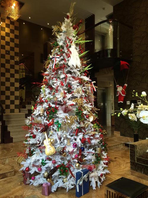 Mr.Đàm khoe vườn Giáng Sinh lung linh huyền ảo - 7