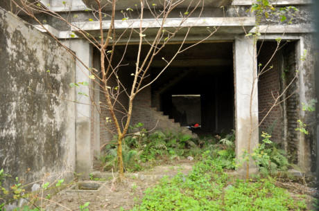 Hà Nội: Hàng trăm biệt thự giá chục tỉ bỏ hoang nhiều năm tại Mễ Trì