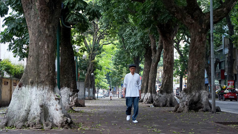 6.700 cây xanh; Hà Nội; chặt hạ