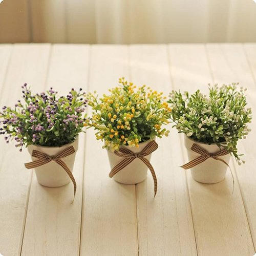 Tại sao nhà hướng Nam là tốt nhất?