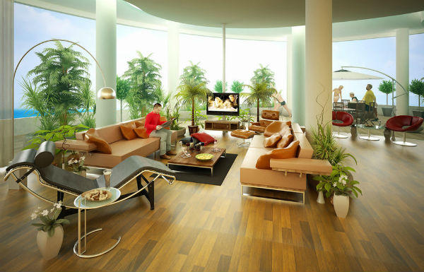 Cây trong phòng khách giúp thanh lọc không khí cho ngôi nhà