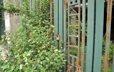 Hà Nội: Hàng trăm biệt thự giá chục tỉ bỏ hoang nhiều năm tại Mễ Trì