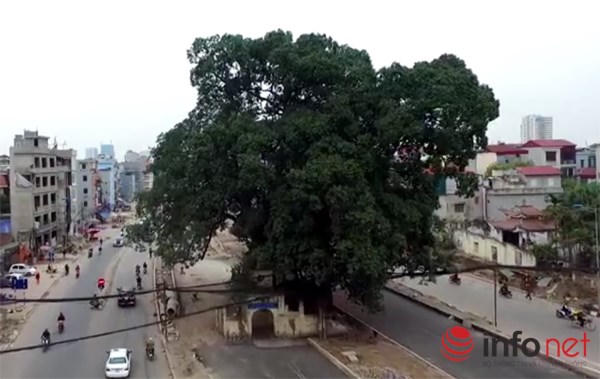 Sẽ phát triển thành phố Thái Nguyên theo 2 bên bờ sông Cầu