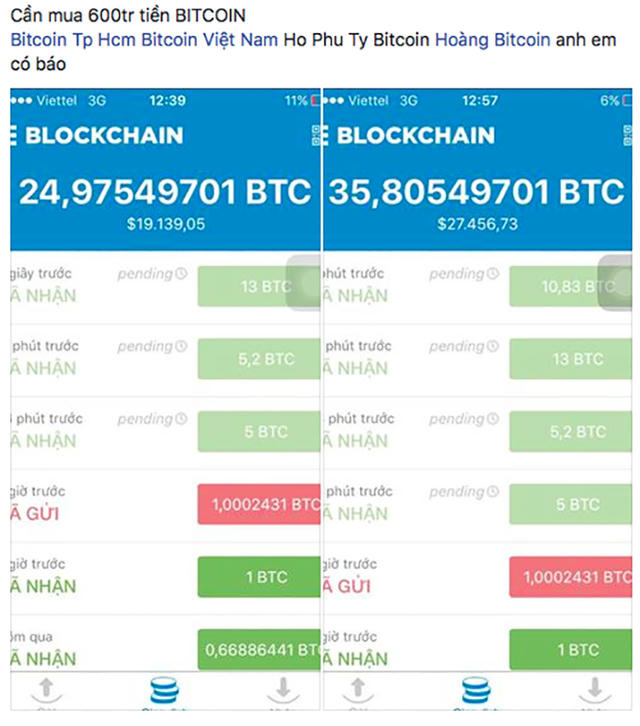 TP. Hồ Chí Minh: Bỏ việc, bán đất... mua 'tiền ảo'