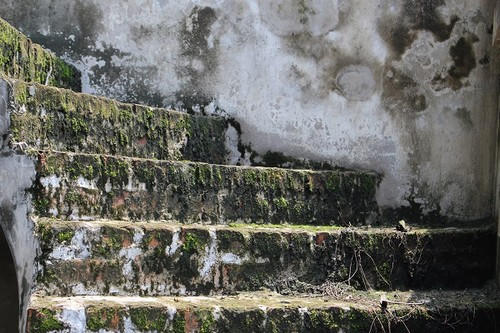 Hàng trăm biệt thự triệu USD thành chỗ trồng rau, nuôi gà