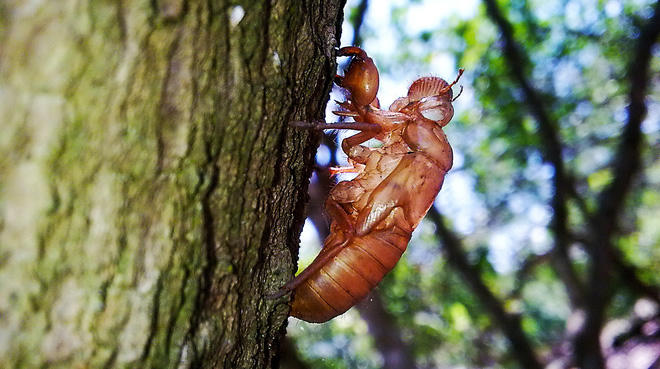 Cổ phiếu cần quan tâm ngày 8/7
