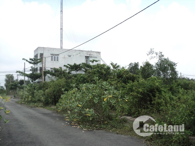 Đất nền quận 9: Mua xong để ở một mình