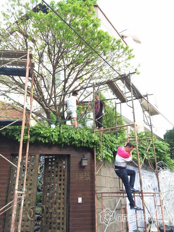 Đàm Vĩnh Hưng trang trí Noel hoành tráng cho biệt thự triệu đô 