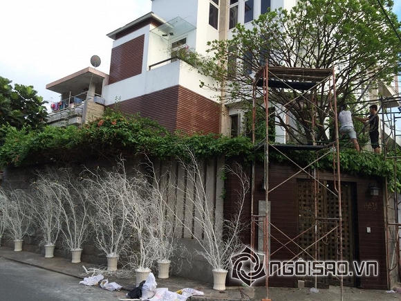 Đàm Vĩnh Hưng trang trí Noel hoành tráng cho biệt thự triệu đô 