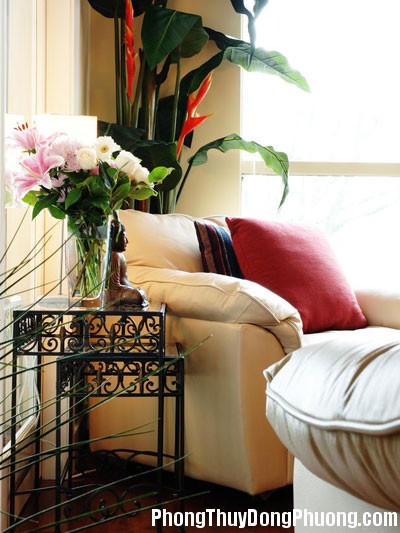 Bố trí hệ thống cửa đi nhà phố hợp phong thuỷ