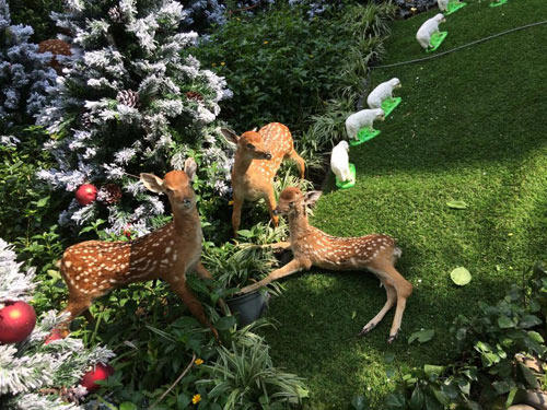 Mr.Đàm khoe vườn Giáng Sinh lung linh huyền ảo - 3