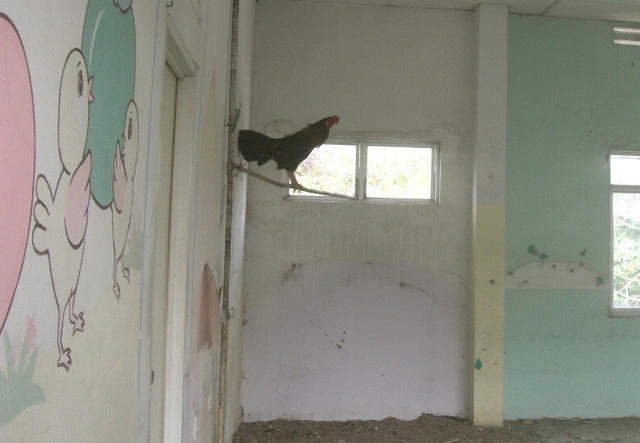 Dự án tỷ đô trên đất vàng TPHCM thành bãi gửi xe, nuôi gà