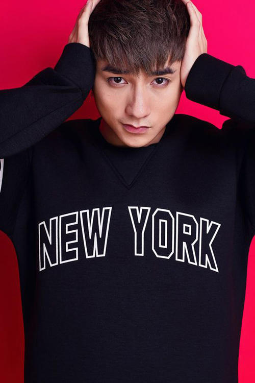 Những sao Việt 'méo mặt' vì án phạt năm 2014