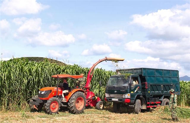 Nếu HAGL bán đi mảng mía đường…