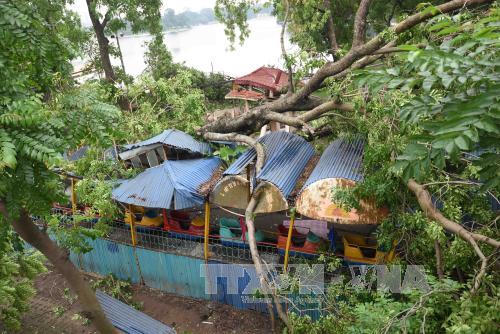 Hà Nội đã thiệt hại bao nhiêu sau cơn lốc tối ngày 13/6?