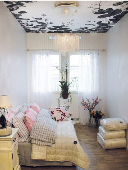 Tự hào vì trần nhà nổi bật