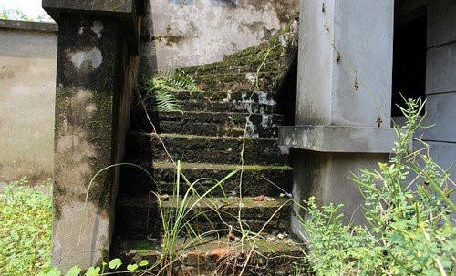 Hàng trăm biệt thự triệu USD thành chỗ trồng rau, nuôi gà