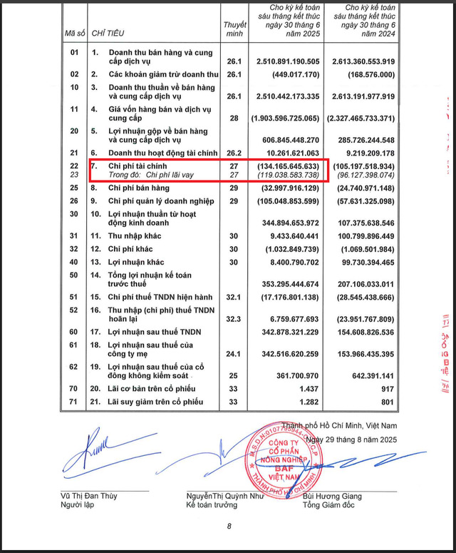Nguồn: Báo cáo tài chính hợp nhất soát xét 6 tháng đầu năm 2025 của BAF.