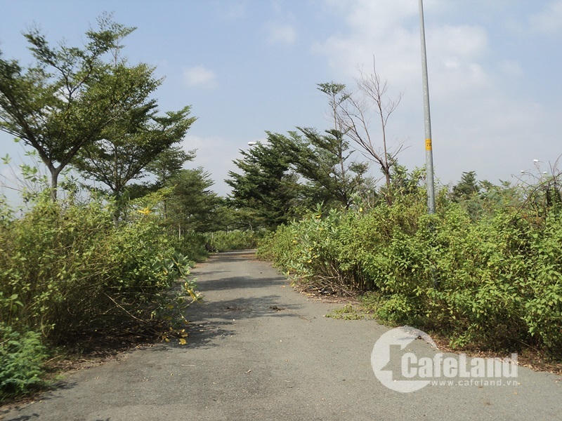 Đất nền quận 9: Mua xong để ở một mình