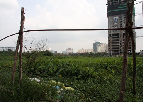 phía-Tây, Đại-lộ-Thăng-Long, thị-trường, kinh-doanh, dự-án, bất-động-sản, chủ-đầu-tư, biệt-thự-bỏ-hoang, phía-Tây, Đại-lộ-Thăng-Long, thị-trường, kinh-doanh, dự-án, bất-động-sản, chủ-đầu-tư, biệt-thự-bỏ-hoang,