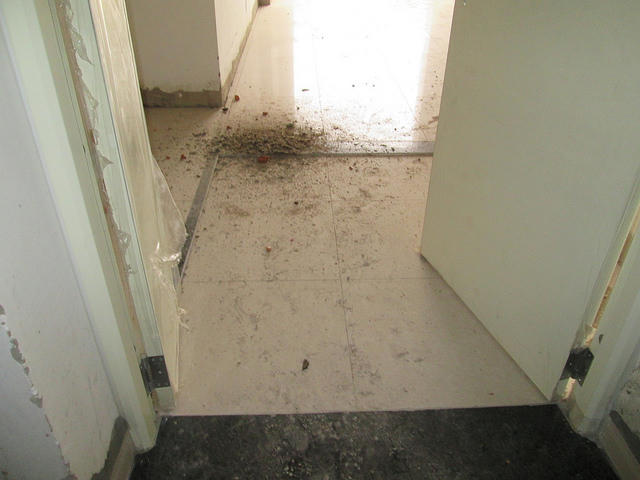 Cận cảnh tiến độ 