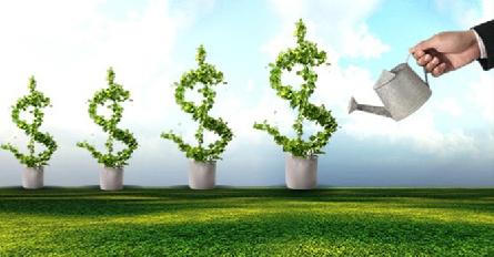 Hoa Sen Group sắp trả cổ tức tỷ lệ 75%