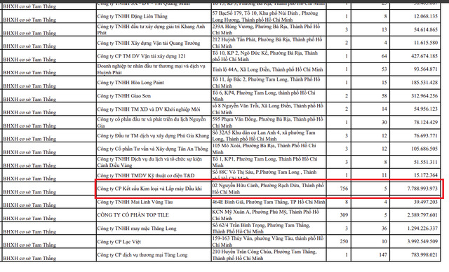 Nguồn: BHXH TP HCM.