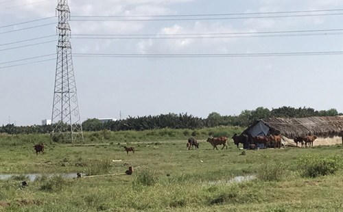 QCG,cổ phiếu,Cường Đô la,giảm điểm,cắt lỗ,đầu tư lướt sóng,Quốc Cường Gia Lai,HOSE