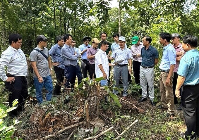 Từ “lồng ghép” đến “tích hợp chiến lược”: Bộ Tài chính mở lối huy động vốn nông thôn mới