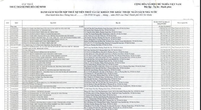 Golden Hill và nhiều doanh nghiệp tại Tp.HCM nợ thuế hơn 25.000 tỷ đồng