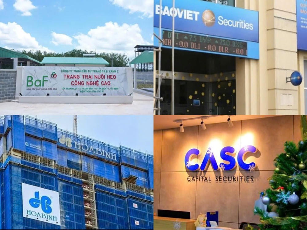 Điểm tin doanh nghiệp: Xây dựng Hòa Bình lãi 188 tỷ, BAF mới hoàn thành 57% kế hoạch