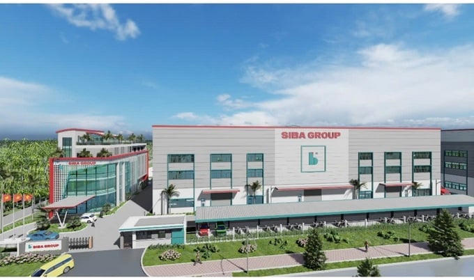 Siba Group giảm lãi quý 3/2025 tới hơn 75%