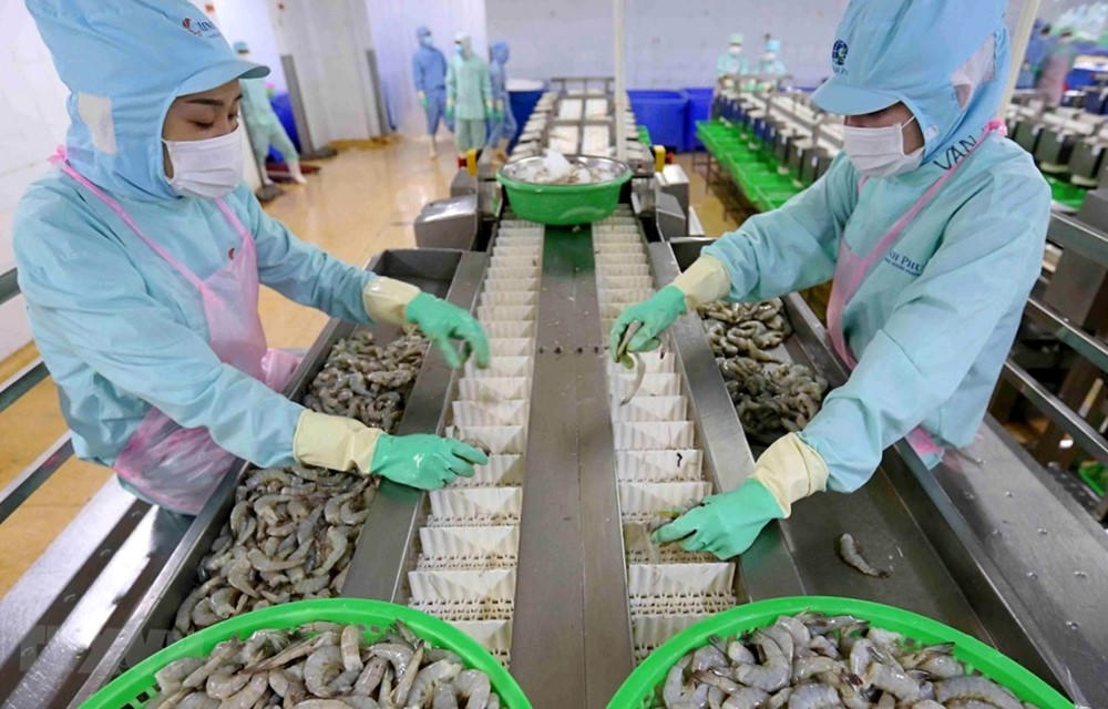 Biên lợi nhuận tăng mạnh, Minh Phú ghi nhận hơn 228 tỷ đồng lãi ròng trong quý III