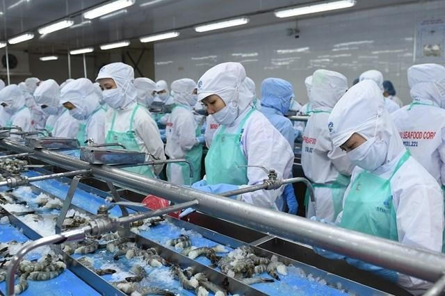 Sản xuất tôm bứt tốc, Sao Ta vượt 4% kế hoạch doanh thu năm 2025