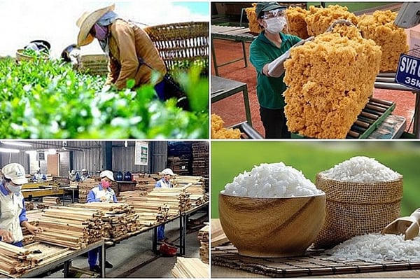 Xuất khẩu nông, lâm, thủy sản đạt hơn 58 tỷ USD