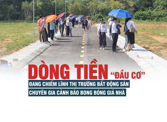 Dòng tiền đầu cơ đang chiếm lĩnh thị trường bất động sản, chuyên gia cảnh báo bong bóng giá nhà