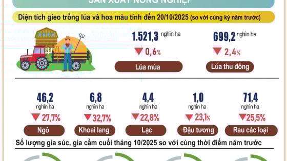 Tình hình kinh tế - xã hội 10 tháng