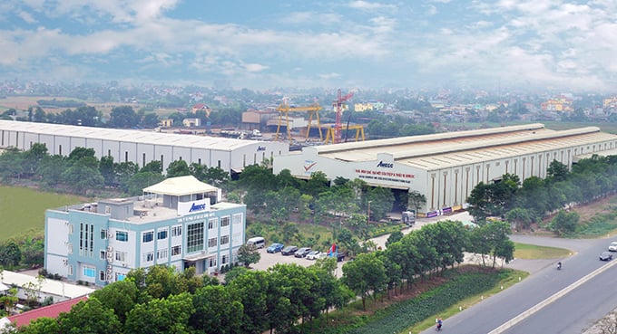 Xây dựng AMECC bị phạt gần 330 triệu đồng