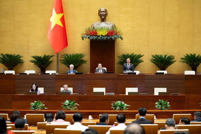 Bộ Tài chính sẽ rà soát, cắt giảm 25 ngành, nghề đầu tư kinh doanh có điều kiện