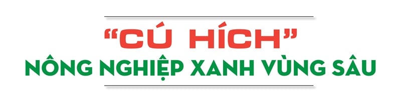 Chính sách thuế, phí: Giảm chi phí, tăng động lực cho nông dân trong hành trình nông thôn mới