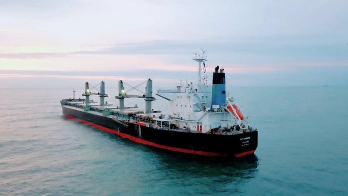 Hơn 66 triệu cổ phiếu PDV của PVT Logistics sẽ giao dịch trên HOSE từ ngày 19/11