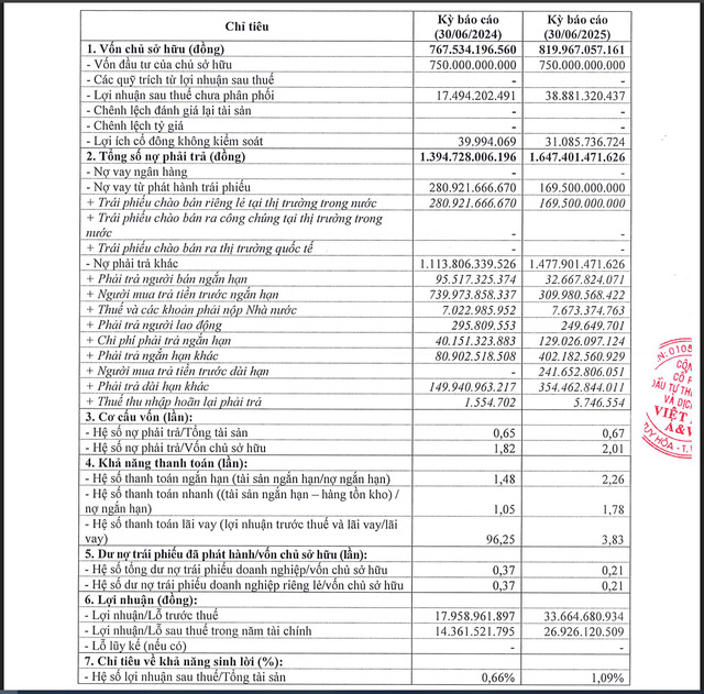 Một số chỉ tiêu tài chính của Việt Mỹ A&V trong nửa đầu năm 2025.