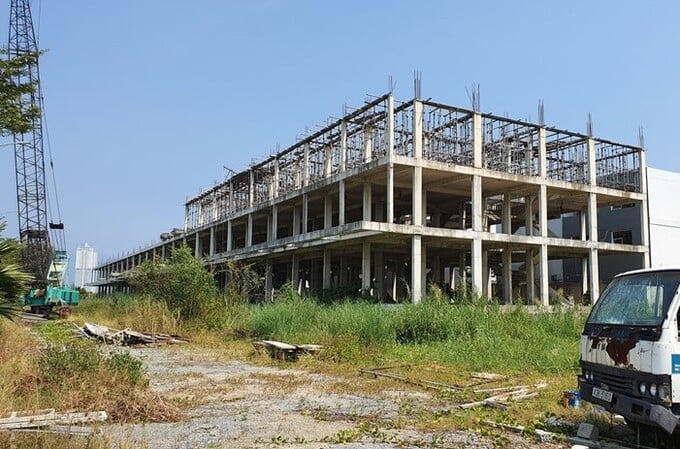 Công ty Nhà Đa Phước, Hai Hạnh và loạt doanh nghiệp nợ thuế