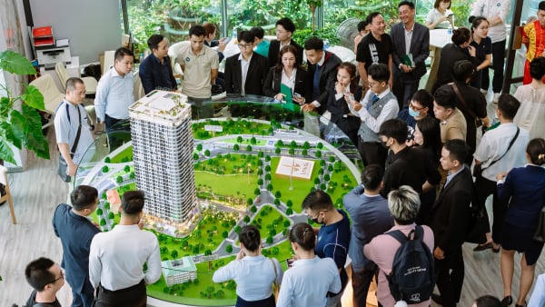 Sơ lược về dự án Art Stella đang rao bán