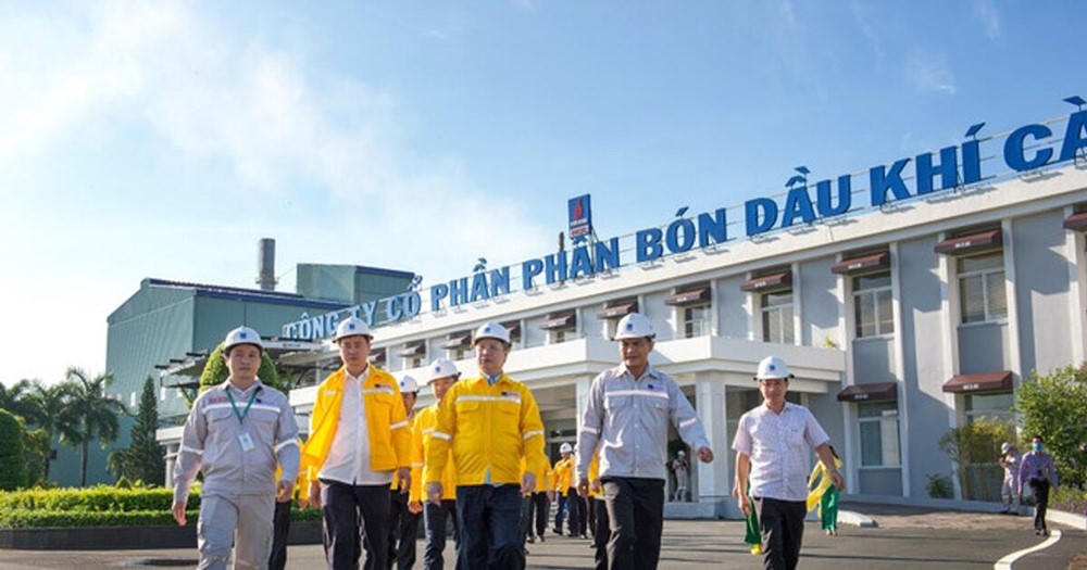 Lợi nhuận Đạm Cà Mau (DCM) được dự báo giảm 11% trong năm 2026