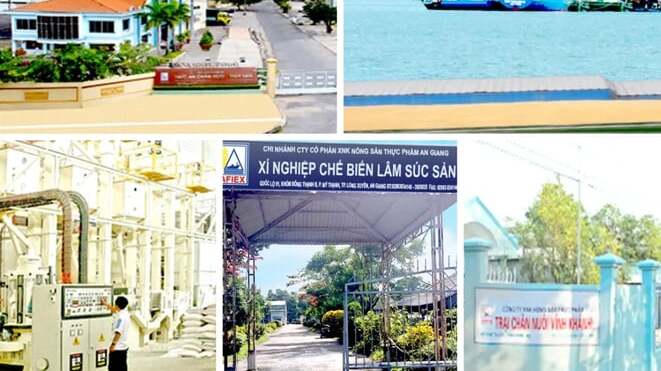 Afiex được chấp thuận niêm yết 35 triệu cổ phiếu AFX trên HOSE