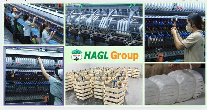 Hơn 50 quỹ đầu tư và công ty chứng khoán “mục sở thị” dự án HAGL