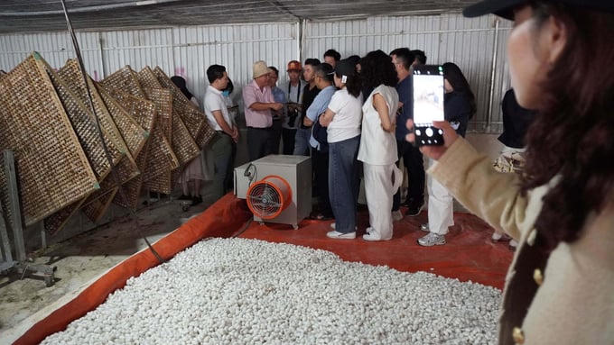 Hơn 50 quỹ đầu tư và công ty chứng khoán “mục sở thị” dự án HAGL