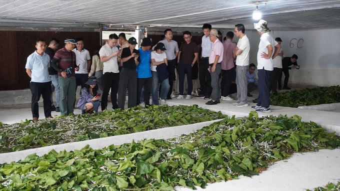 Hơn 50 quỹ đầu tư và công ty chứng khoán “mục sở thị” dự án HAGL